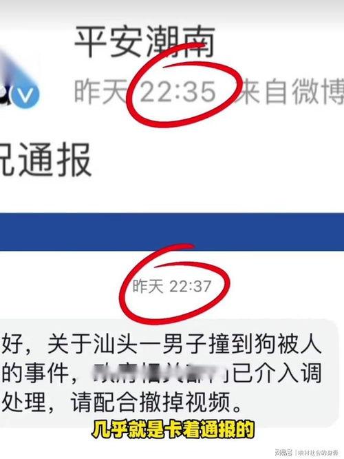 爆料低价视频博主有哪些,低成本内容创作背后的秘密  第2张